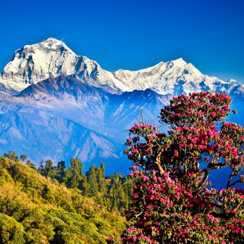 Pokhara & Nagarkot (5Nights 6Days)