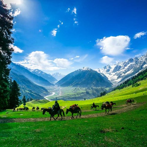 The Majestic Kashmir (4 Days 3 Night)